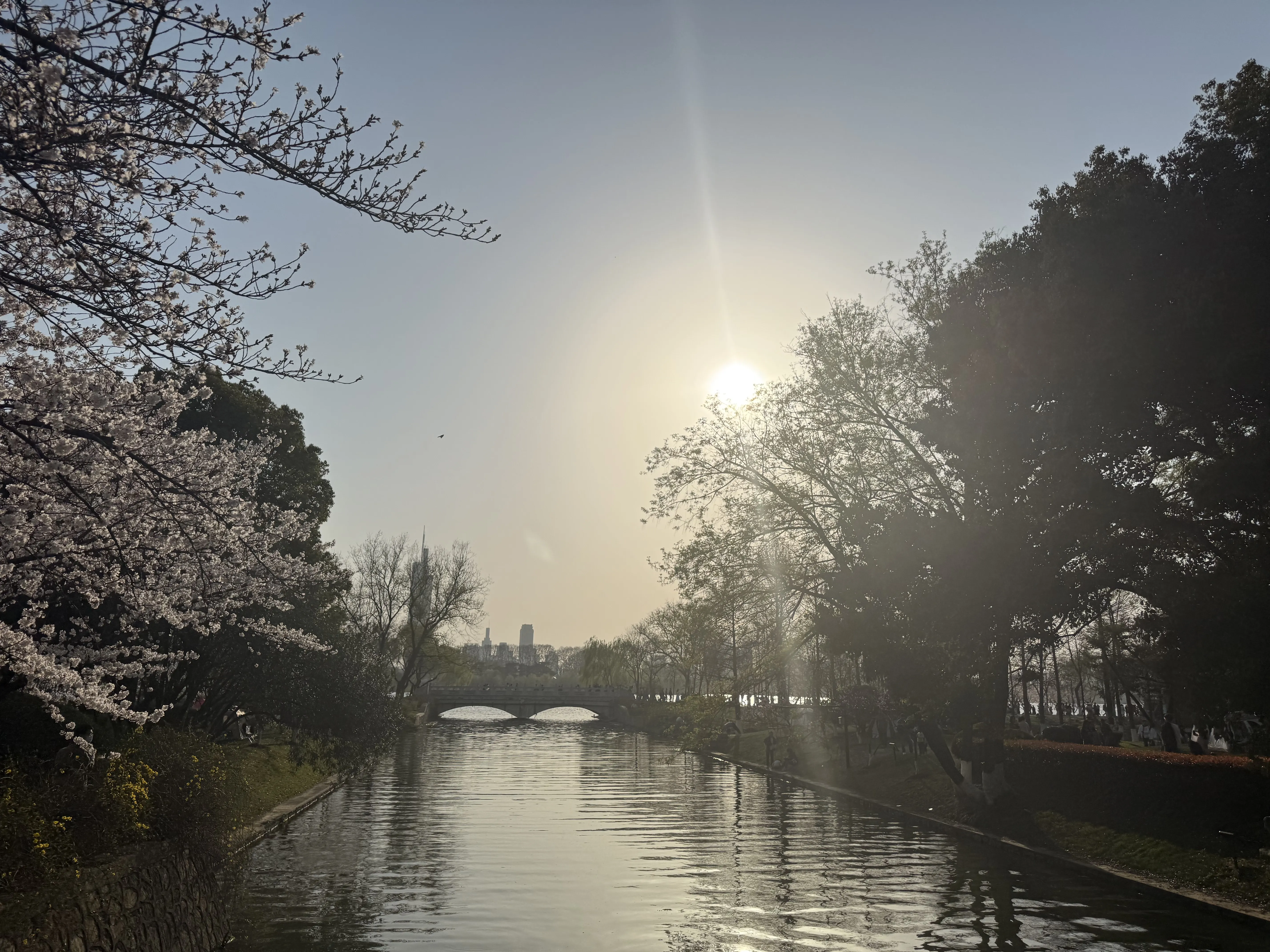 3D0E453B59DA78DB59549A77F5A834A5.png